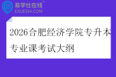 2026合肥经济学院专升本专业课考试大纲 2026合肥经济学院专升本专业课考试大纲