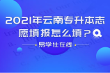 2021年云南專(zhuān)升本志愿填報(bào)怎么填，時(shí)間如何安排呢？