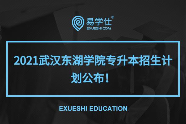 2021武汉东湖学院专升本招生计划公布！