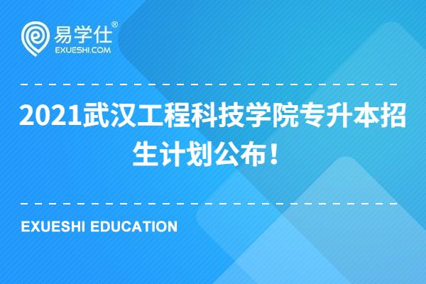 2021武漢工程科技學(xué)院專升本招生計(jì)劃