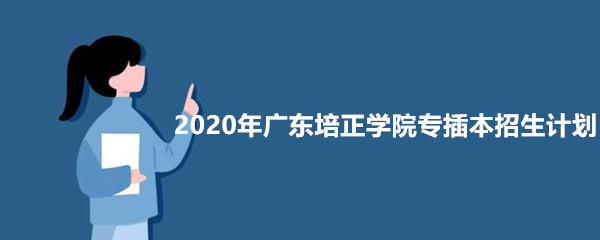 2020年广东培正学院专插本招生计划