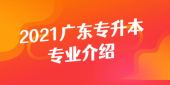 2021廣東專升本數(shù)據(jù)科學與大數(shù)據(jù)技術(shù)專業(yè)介紹