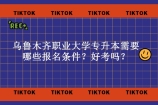 乌鲁木齐职业大学专升本需要哪些报名条件？好考吗？