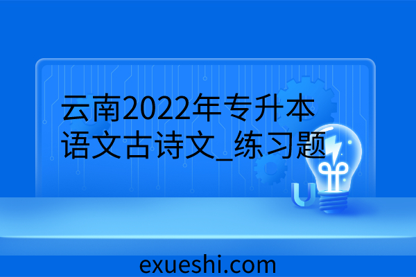 云南2022年专升本语文
