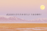 武汉纺织大学专升本考什么？专业有哪些？