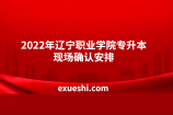 2022年辽宁职业学院专升本现场确认安排