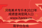 河南美术专升本2022年成绩查询官网入口www.haeea.cn
