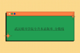 武汉晴川学院专升本录取率_分数线