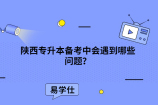 陕西专升本备考中会遇到哪些问题？
