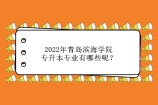 2022年青岛滨海学院专升本专业有哪些呢？21个专业招生！