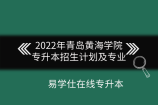 2022年青岛黄海学院专升本招生计划及专业