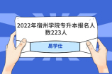 2022年宿州学院专升本报名人数223人