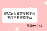 昆明冶金高等专科学校专升本有哪些专业