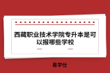 西藏职业技术学院专升本是可以报哪些学校