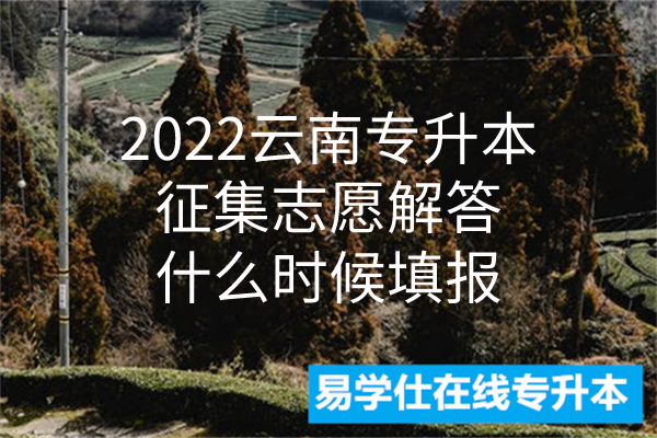 2022云南专升本征集志愿