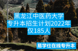 黑龙江中医药大学专升本招生计划2022年仅185人