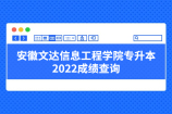 安徽文达信息工程学院专升本2022成绩查询