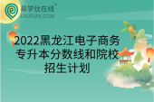 2022黑龙江电子商务专升本分数线和院校招生计划