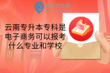 云南专升本专科是电子商务可以报考什么专业和学校