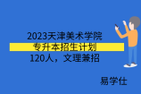 2023天津美术学院专升本招生计划120人，文理兼招