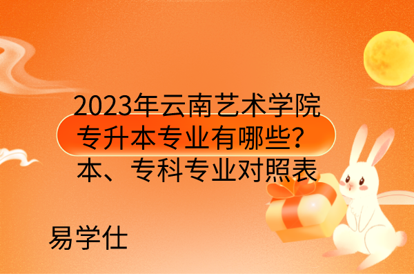 2023年云南艺术学院专升本专业