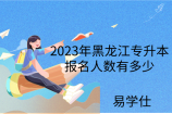 2023年黑龙江专升本报名人数有多少
