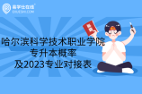 哈尔滨科学技术职业学院专升本概率及2023专业对接表