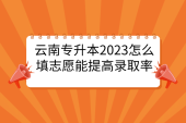 云南专升本2023年怎么填志愿能提高录取概率