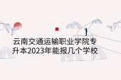 云南交通运输职业学院专升本2023年能报几个学校