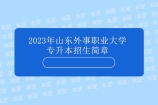 2023年山东外事职业大学专升本招生简章 含报考对象考试科目！