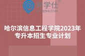 哈尔滨信息工程学院2023年专升本招生专业计划，共招950人