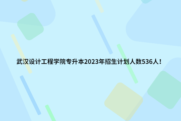 武汉设计工程学院专升本2023年招生计划
