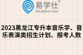2023黑龙江专升本音乐学、音乐表演类招生计划、报考人数