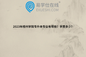 百色学院专升本2023退役士兵综合考查招生简章！含招生专业及计划