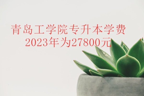 青岛工学院专升本学费2023年统一提高为27800元
