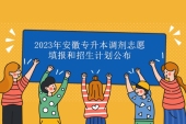 2023年安徽专升本调剂志愿填报和招生计划公布！