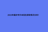 2023年重庆专升本招生录取情况分析！看看哪些院校招录人数多？
