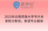 2023年云南民族大学专升本录取分数线，泰语专业最高