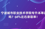 宁波城市职业技术学院专升本率高吗？60%左右录取率！