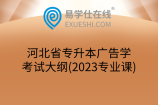 河北省专升本广告学考试大纲(2023专业课)