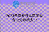 2023云南专升本医学类专业分数线多少