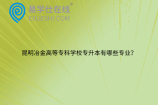 昆明冶金高等专科学校专升本有哪些专业？24年对口专业院校公布！
