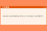 2024哈尔滨传媒职业学院专升本对接专业有哪些？