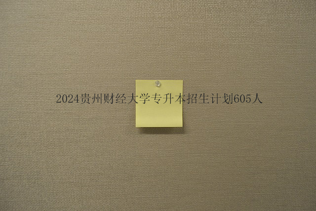2024贵州财经大学专升本招生计划