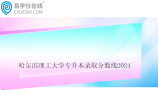 哈尔滨理工大学专升本录取分数线2024
