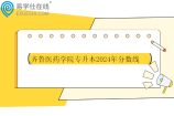 齐鲁医药学院专升本2024年分数线