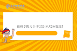 德州学院专升本2024录取分数线 小学教育276