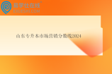 山东专升本市场营销分数线2024