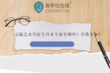 安徽艺术学院专升本专业有哪些？学费多少？