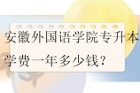 安徽外国语学院专升本学费一年多少钱？